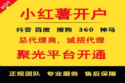 竞价排名在品牌推广中的经典案例